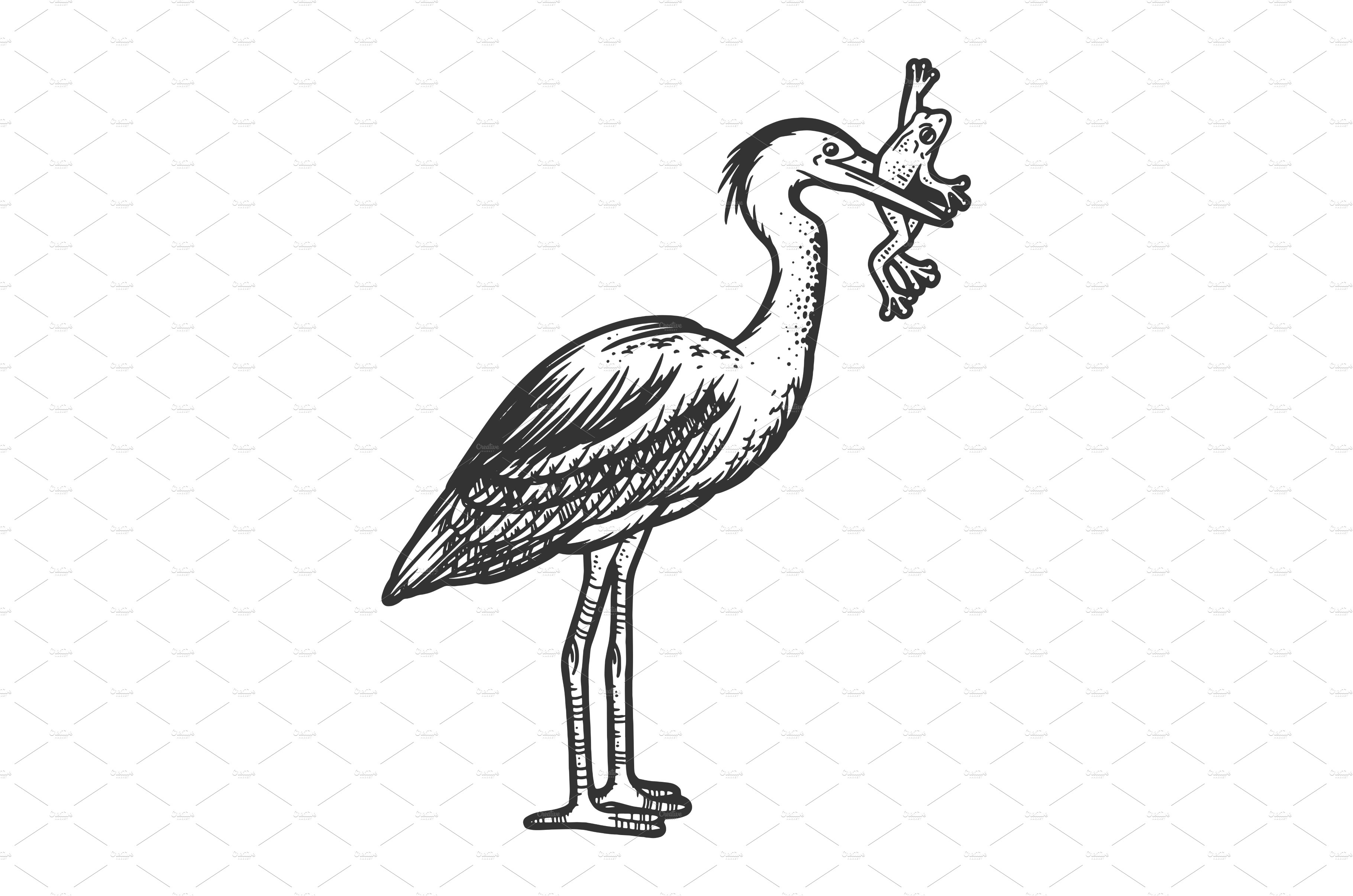 heron bird with frog line art sketch cover image.