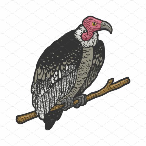vulture bird sketch vector cover image.