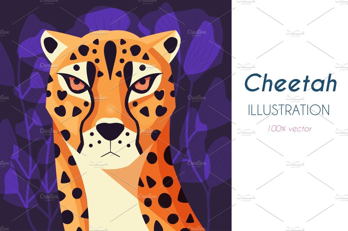 Cheetah illustration, vector cover image.