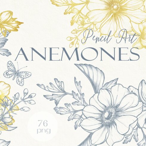 Anemones. Pencil and gold collection cover image.