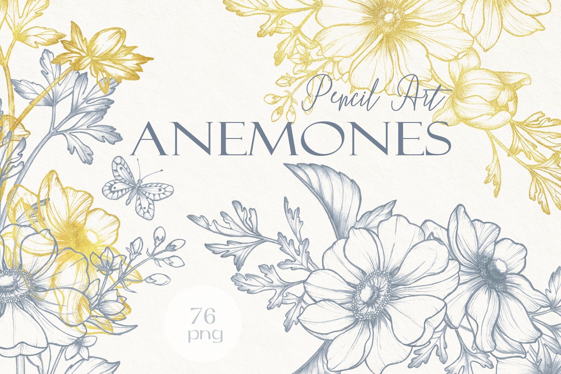 Anemones. Pencil and gold collection cover image.