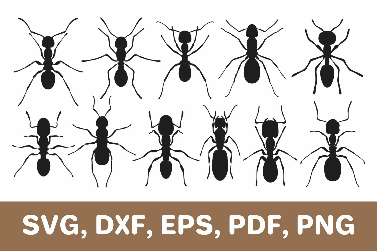 Ant svg cut file, ants silhouette cover image.