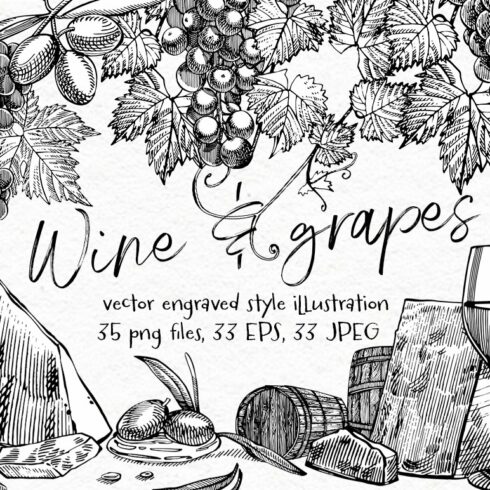 Wine and grapes set illustrations cover image.
