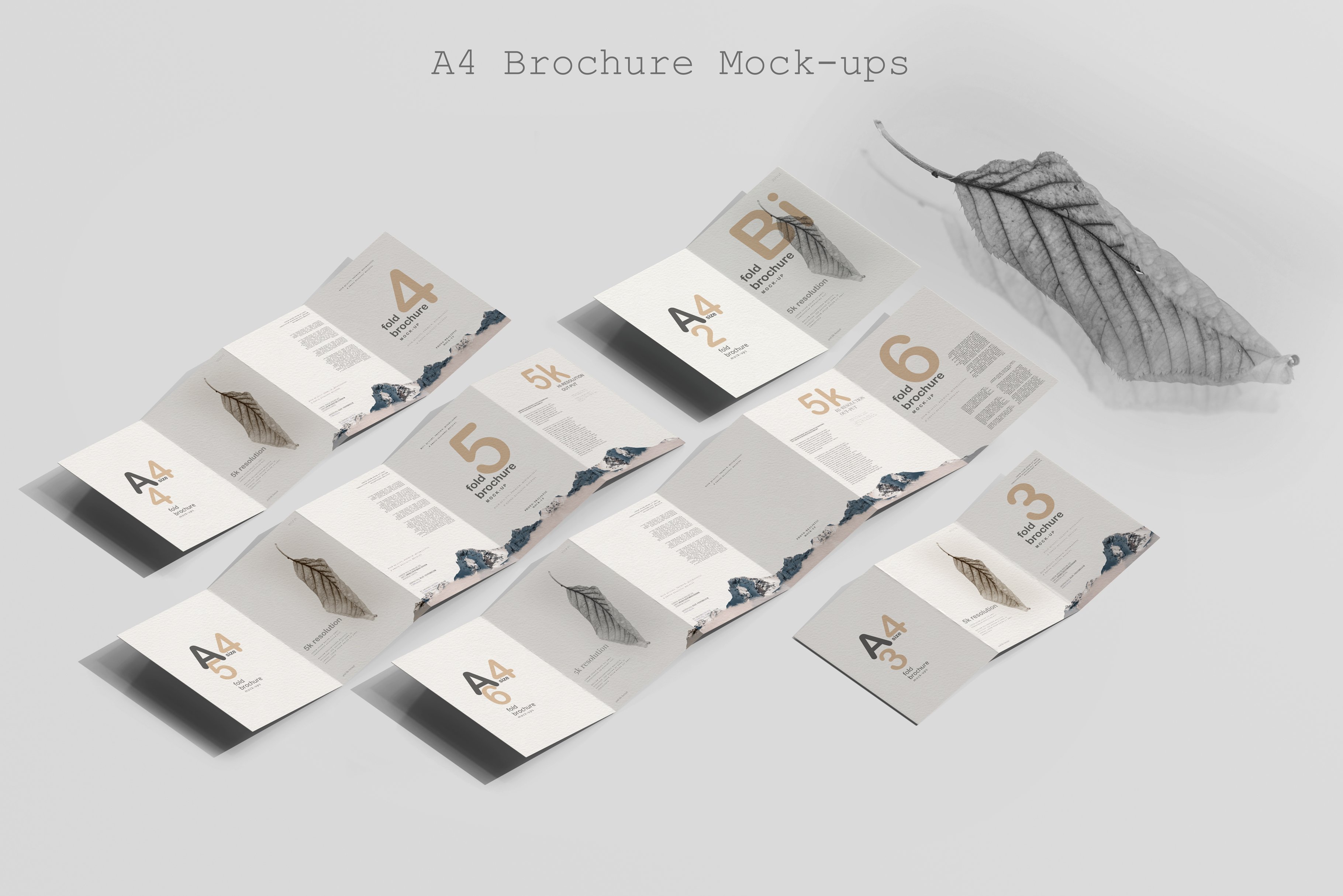 A4 Brochure Mockup Collection cover image.