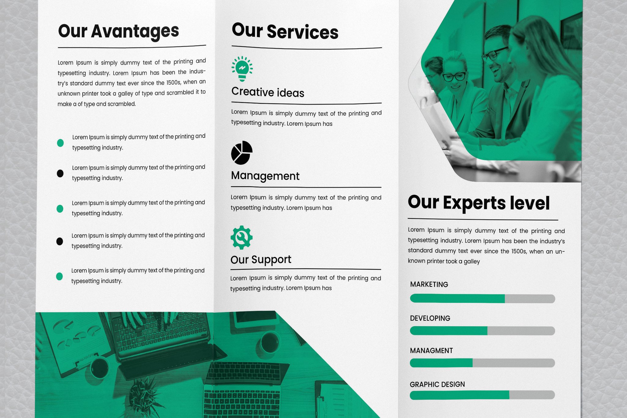 Tri- fold business brochure preview image.
