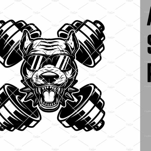 dog head with gym barbell in teeth cover image.