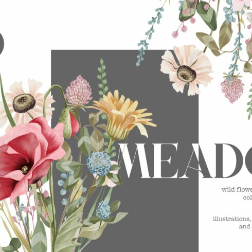Meadow flowers and plants collection cover image.