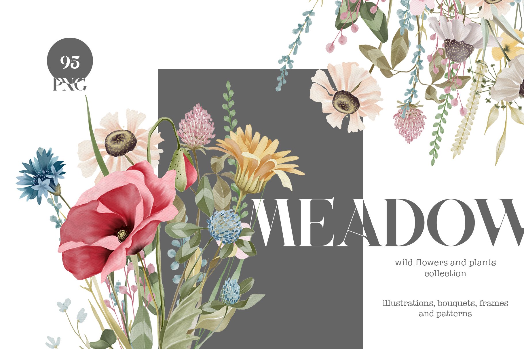Meadow flowers and plants collection cover image.
