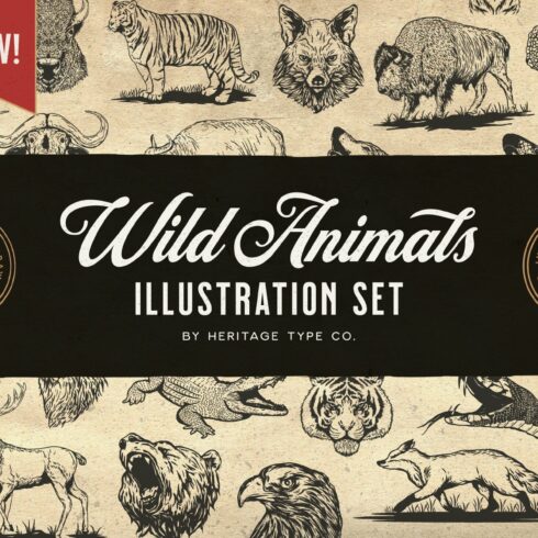 Wild Animals - Illustration Set cover image.