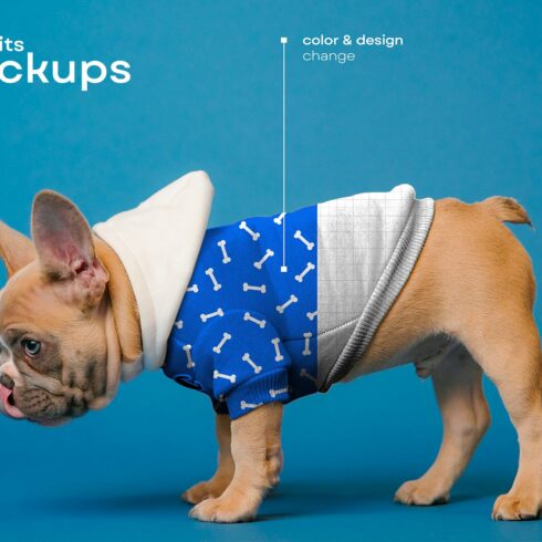 Dog Suits Mockups cover image.