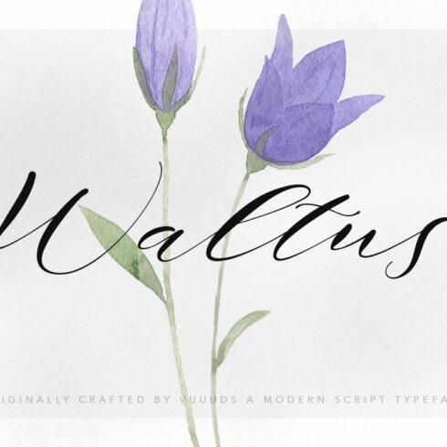 Waltus cover image.