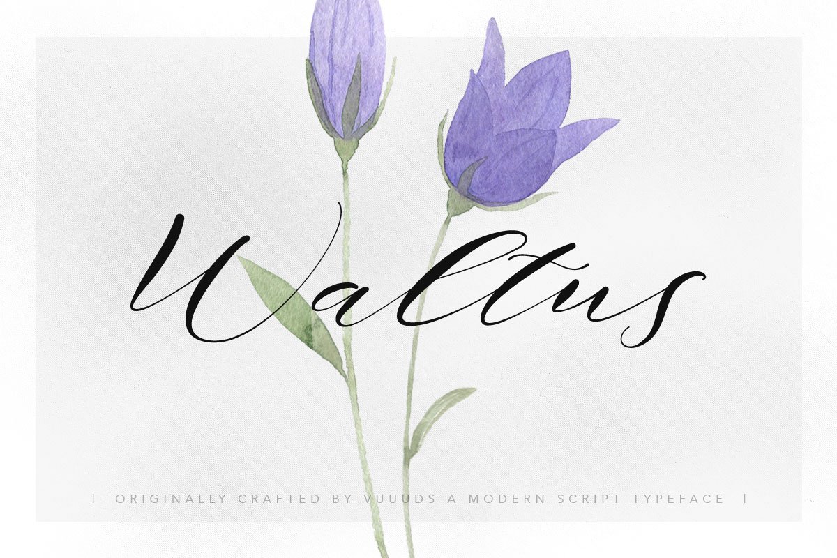 Waltus cover image.