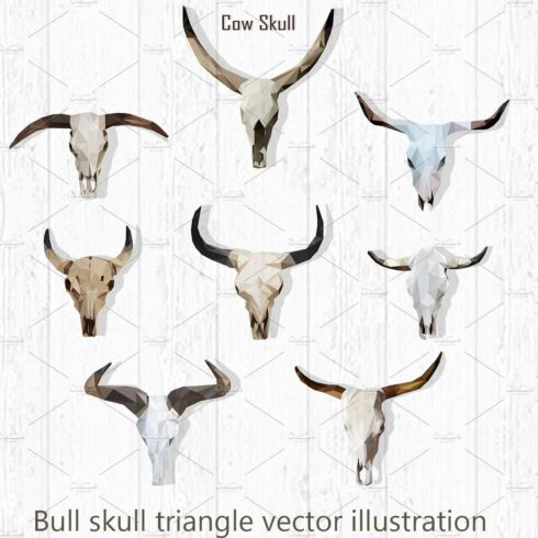 Bull skull triangle cover image.