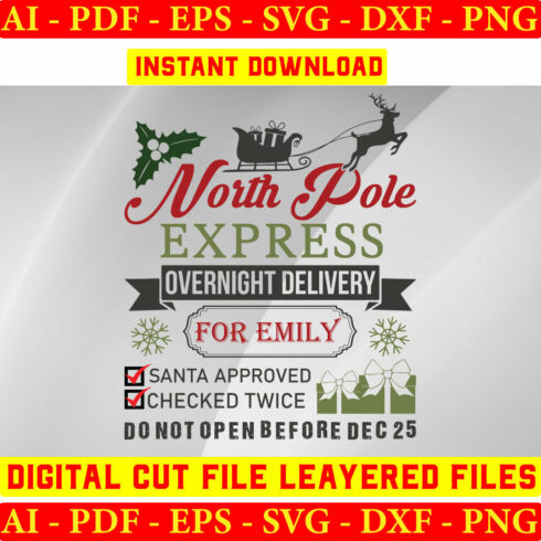 North Pole Express Overnight Delivery For Emily Santa cover image.