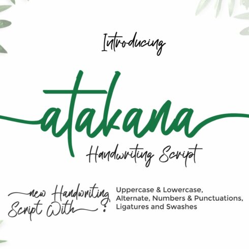 Atakana - Handwriting Script Font cover image.