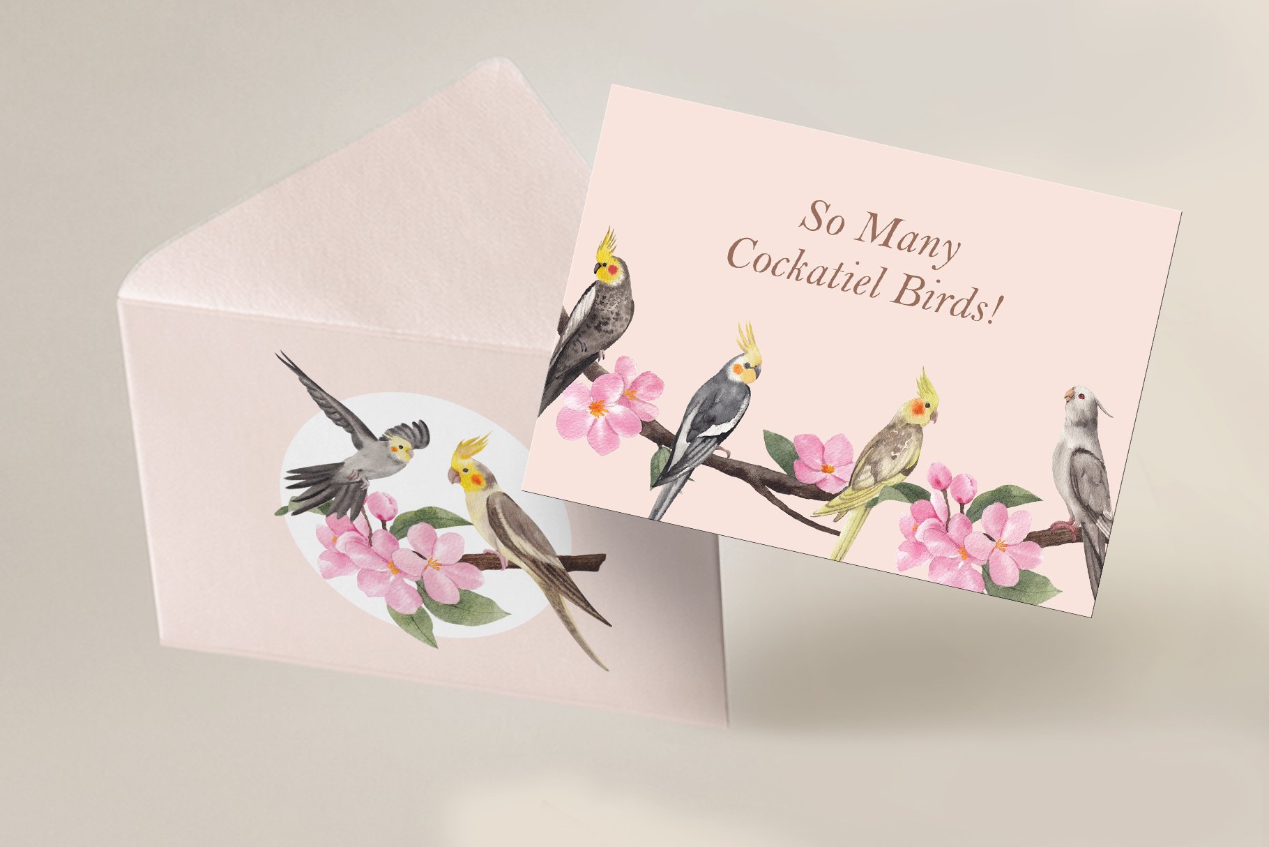 012 cockatiel birds postcards mockup 1 681