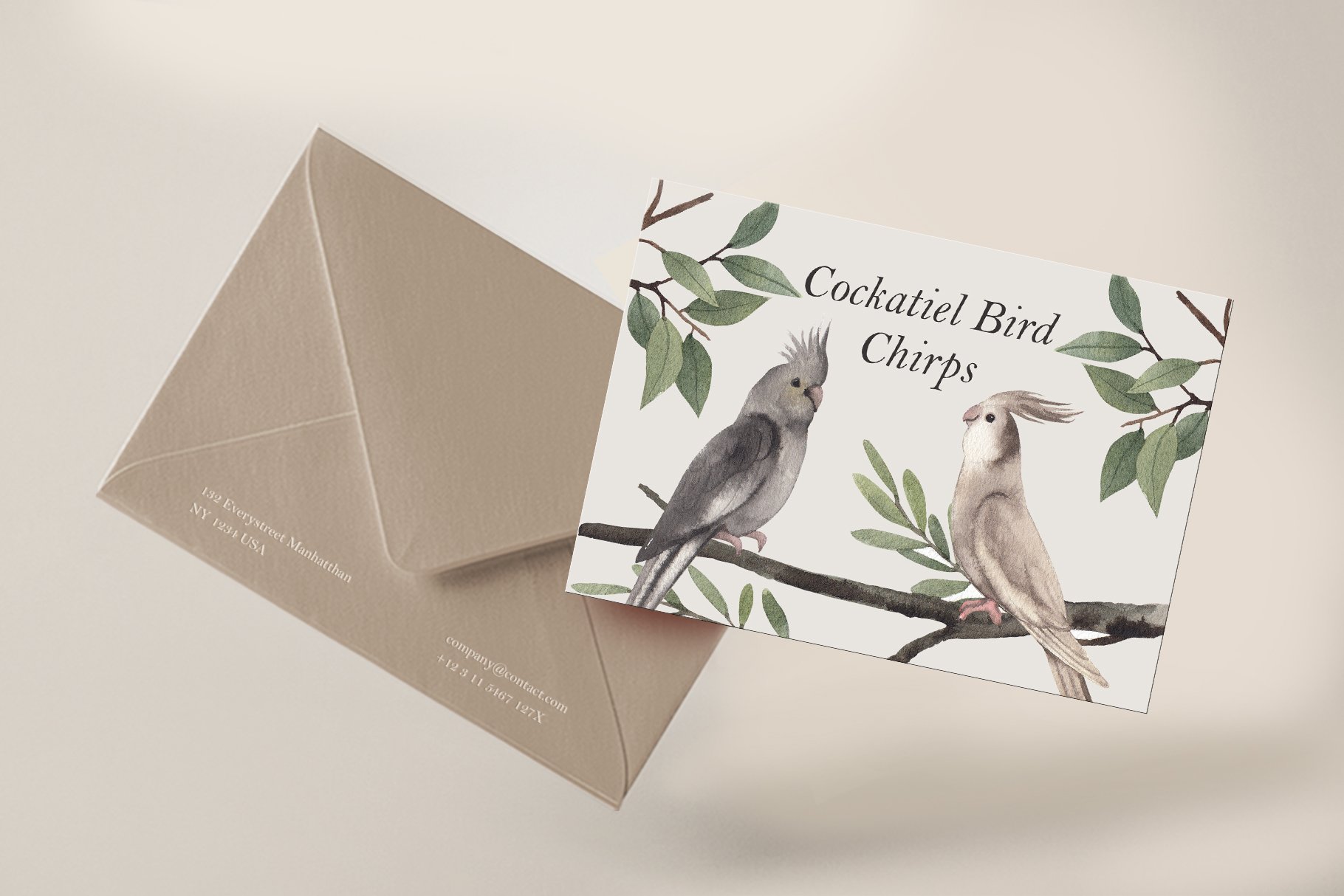 013 cockatiel birds postcards mockup 3 21