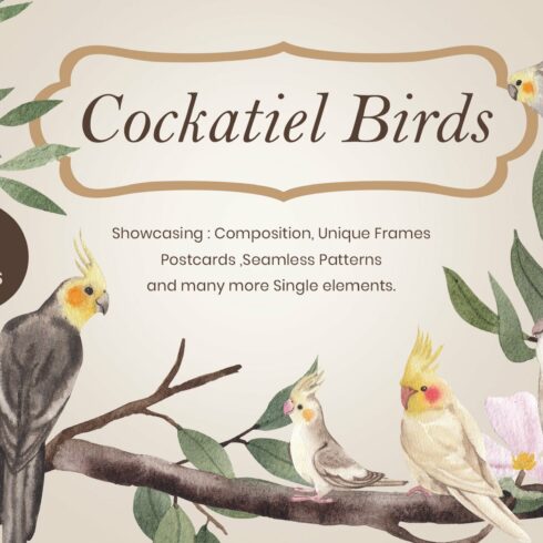 Cockatiel Birds Watercolor cover image.