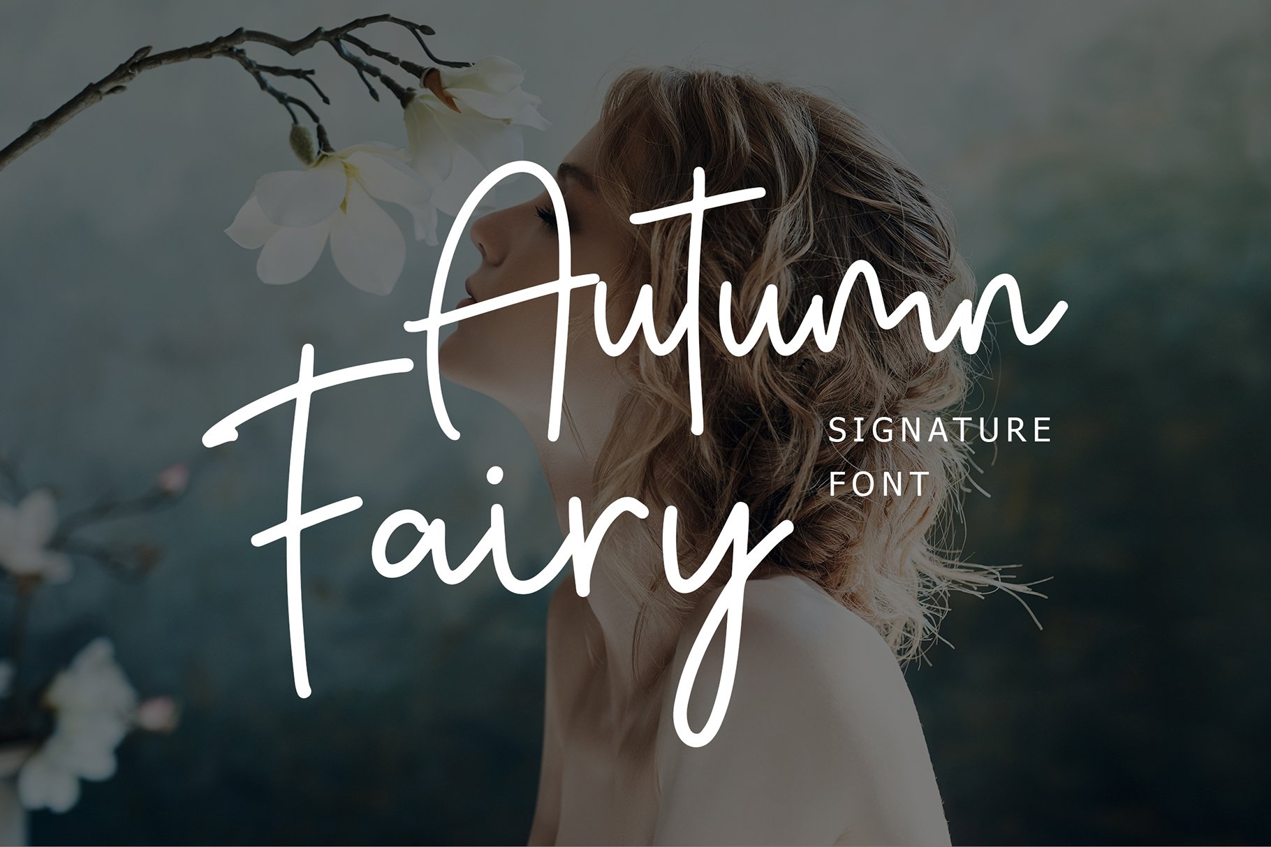 Autumn Fairy Signature Monoline Font cover image.