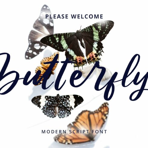 Butterfly Modern Script Font cover image.
