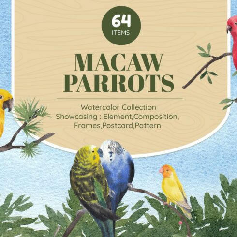 Macaw Parrots  Watercolor cover image.