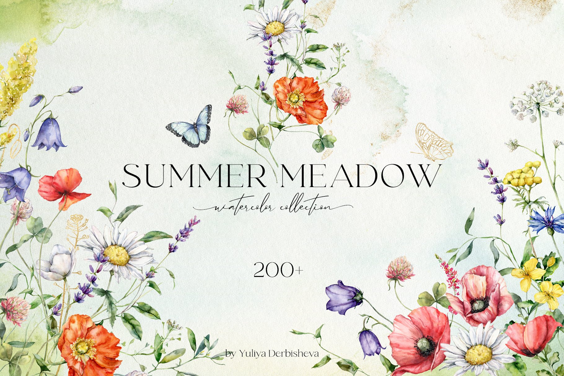 SUMMER MEADOW wildflower watercolor cover image.