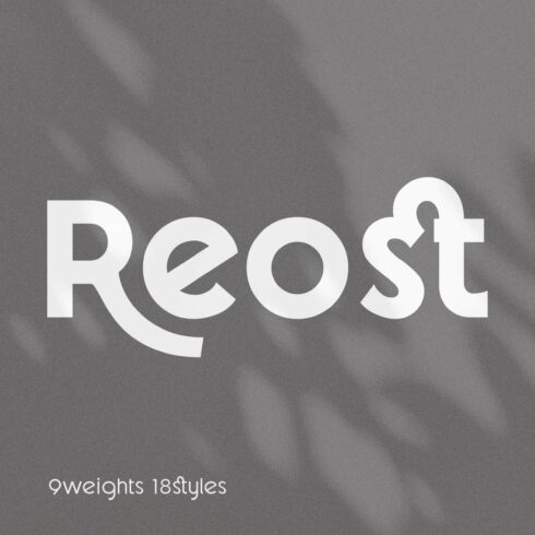 Reost - Stylish Modern Font Family cover image.