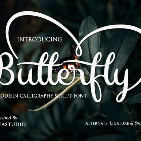 Butterfly Font - Swash Style cover image.