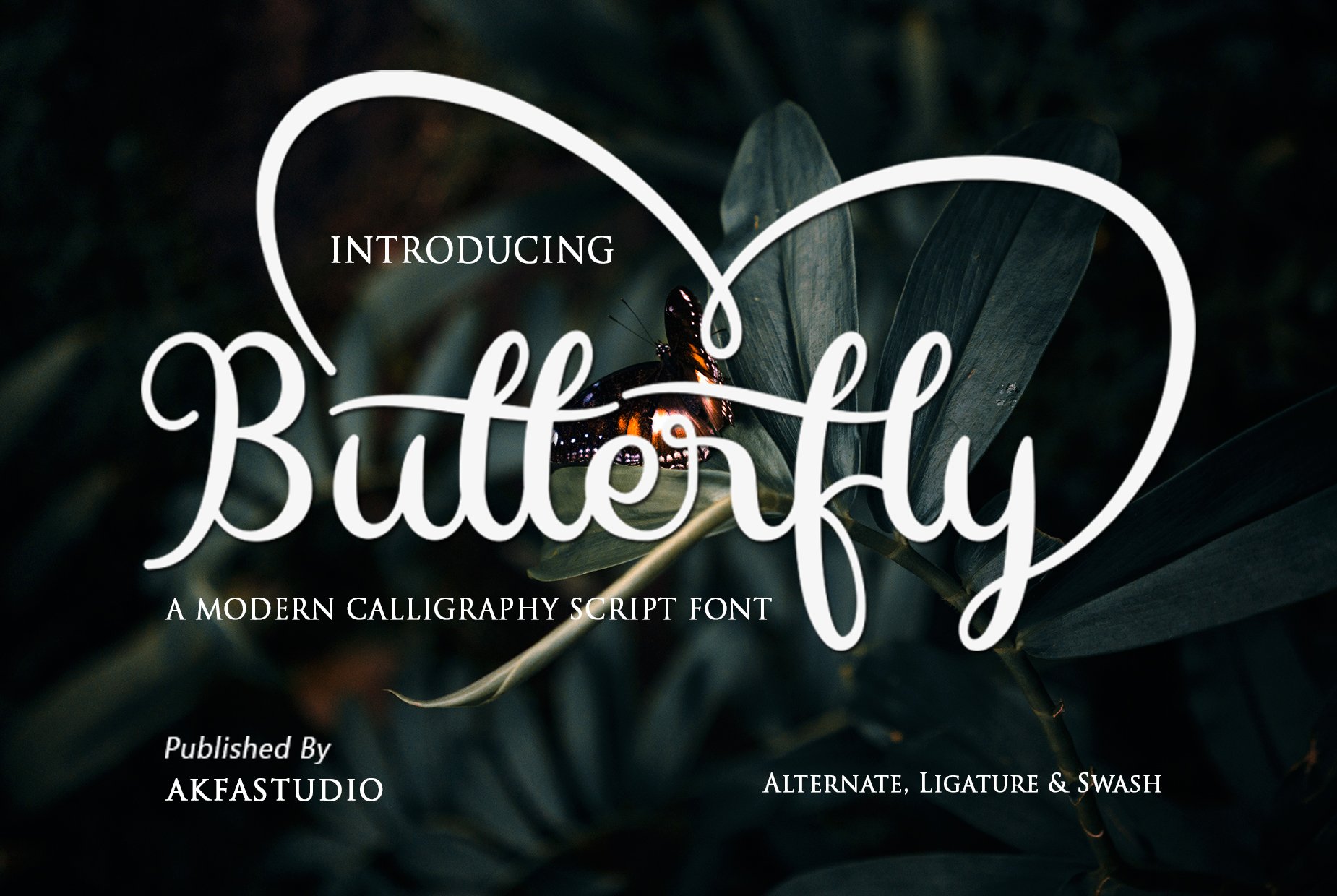 Butterfly Font - Swash Style cover image.