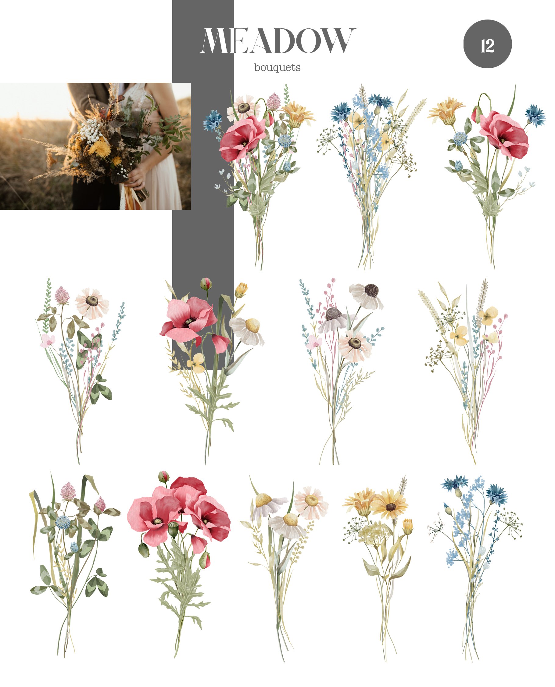 Meadow flowers and plants collection preview image.