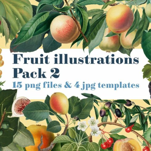Fruit illustrations pack 2 cover image.