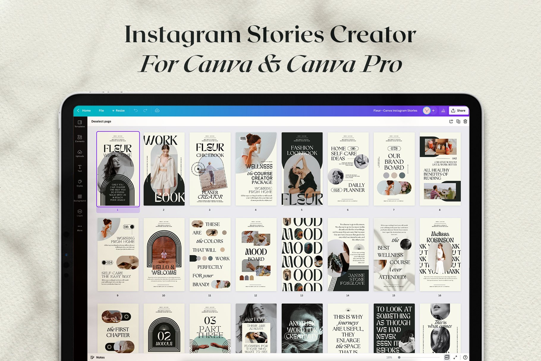 Fleur - Canva Instagram Stories preview image.