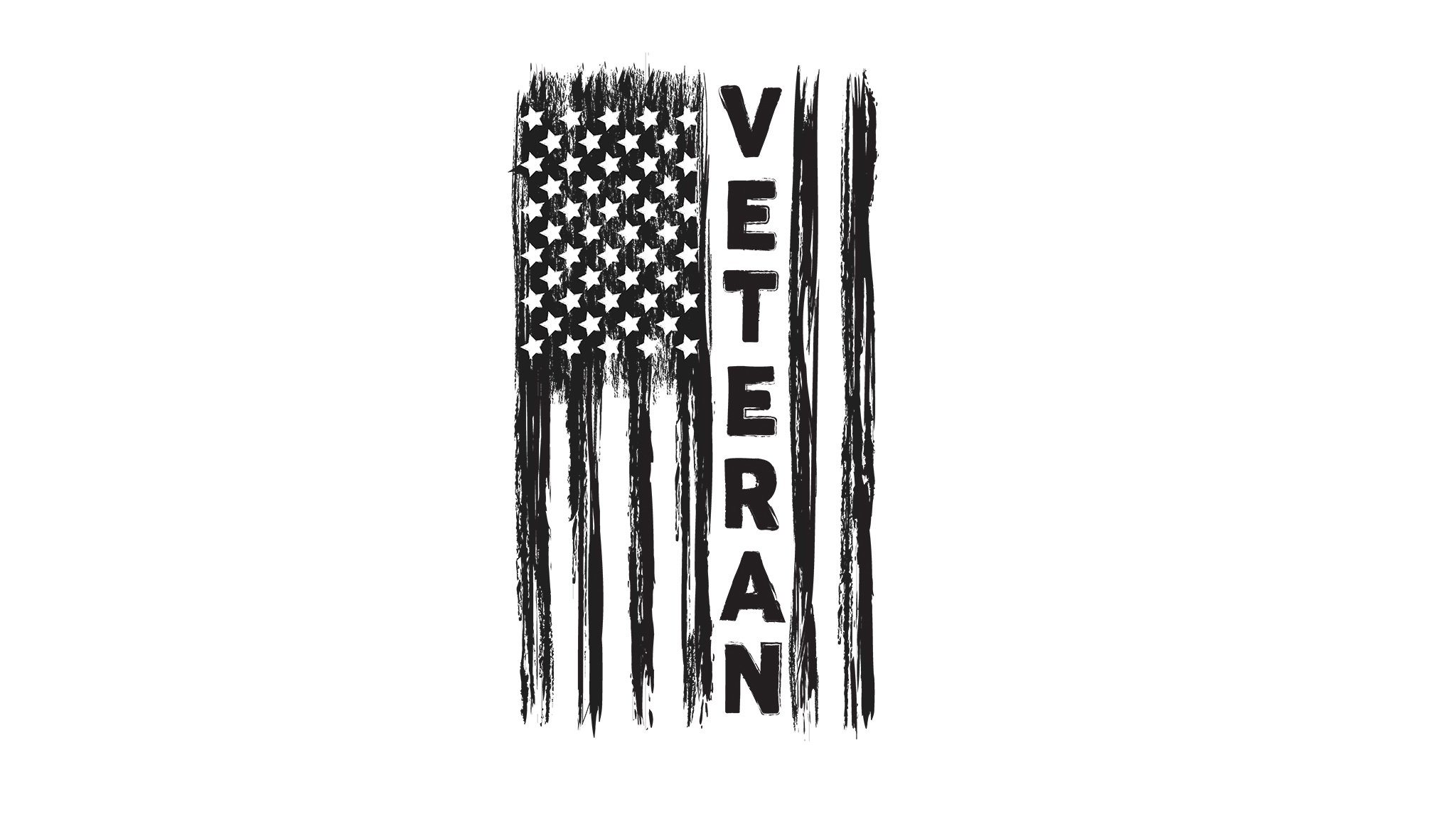 Veteran USA Flag cover image.