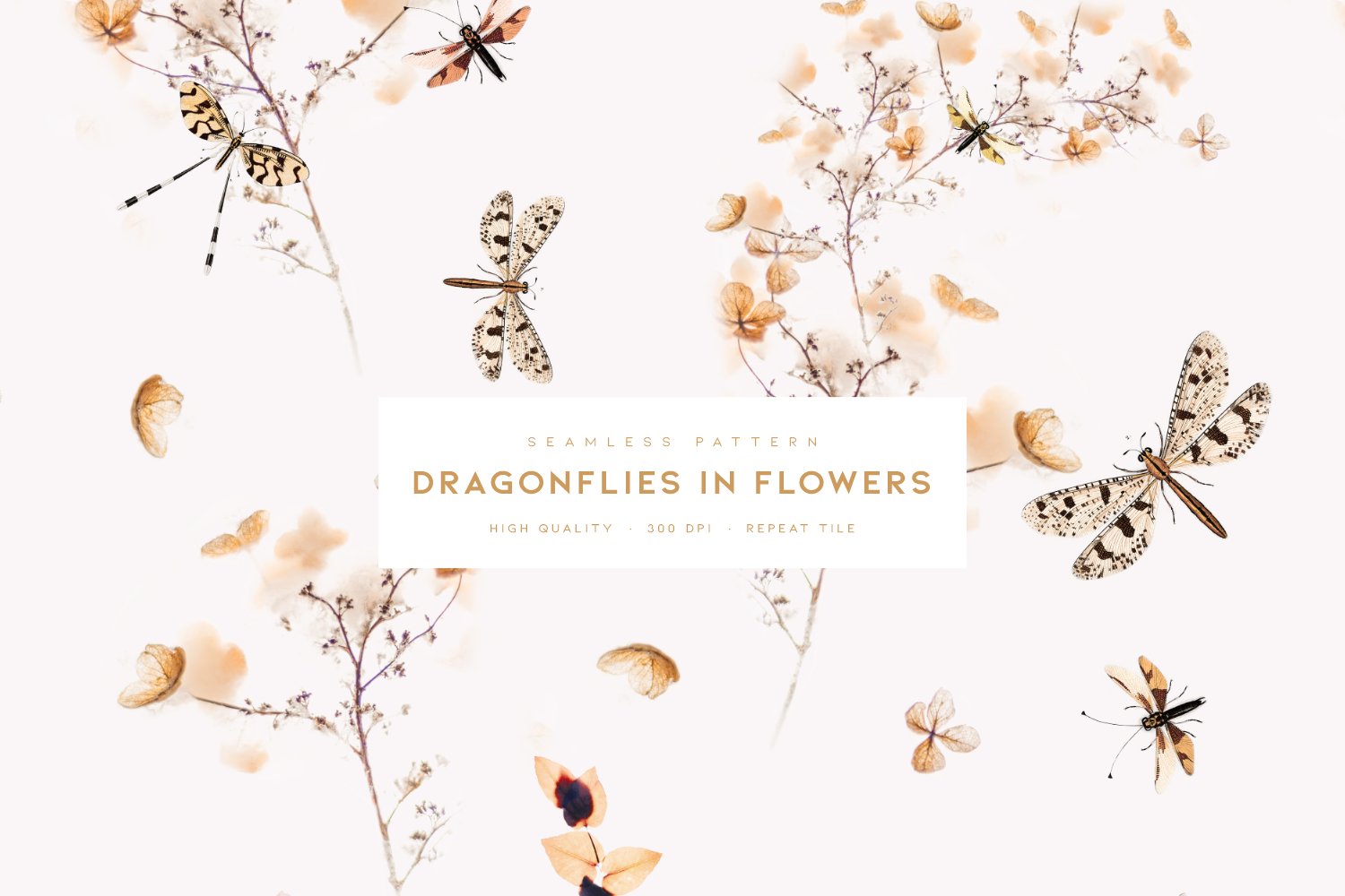 Dragonflies in Flowers cover image.
