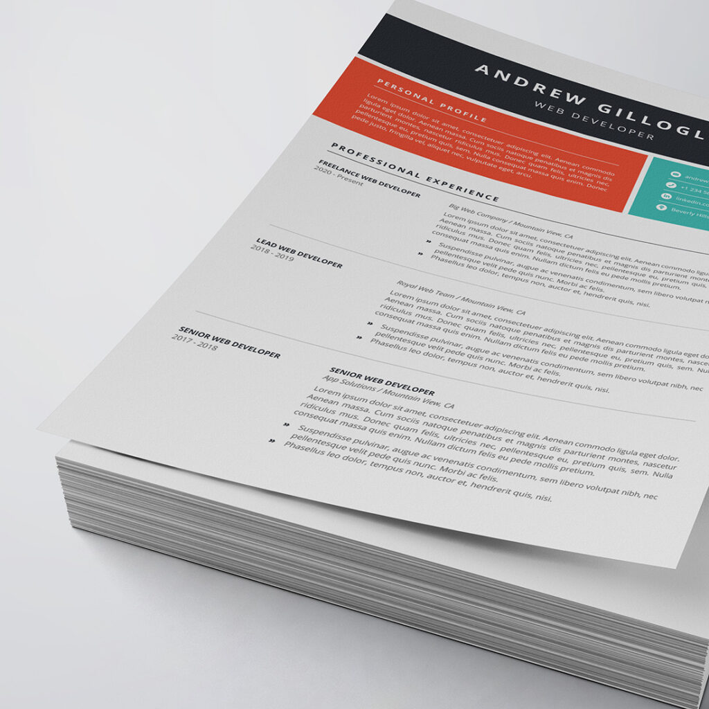 Professional Resume/CV Template - MasterBundles