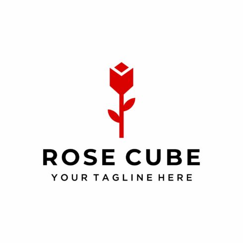 Beauty Rose with cube geometric logo cover image.