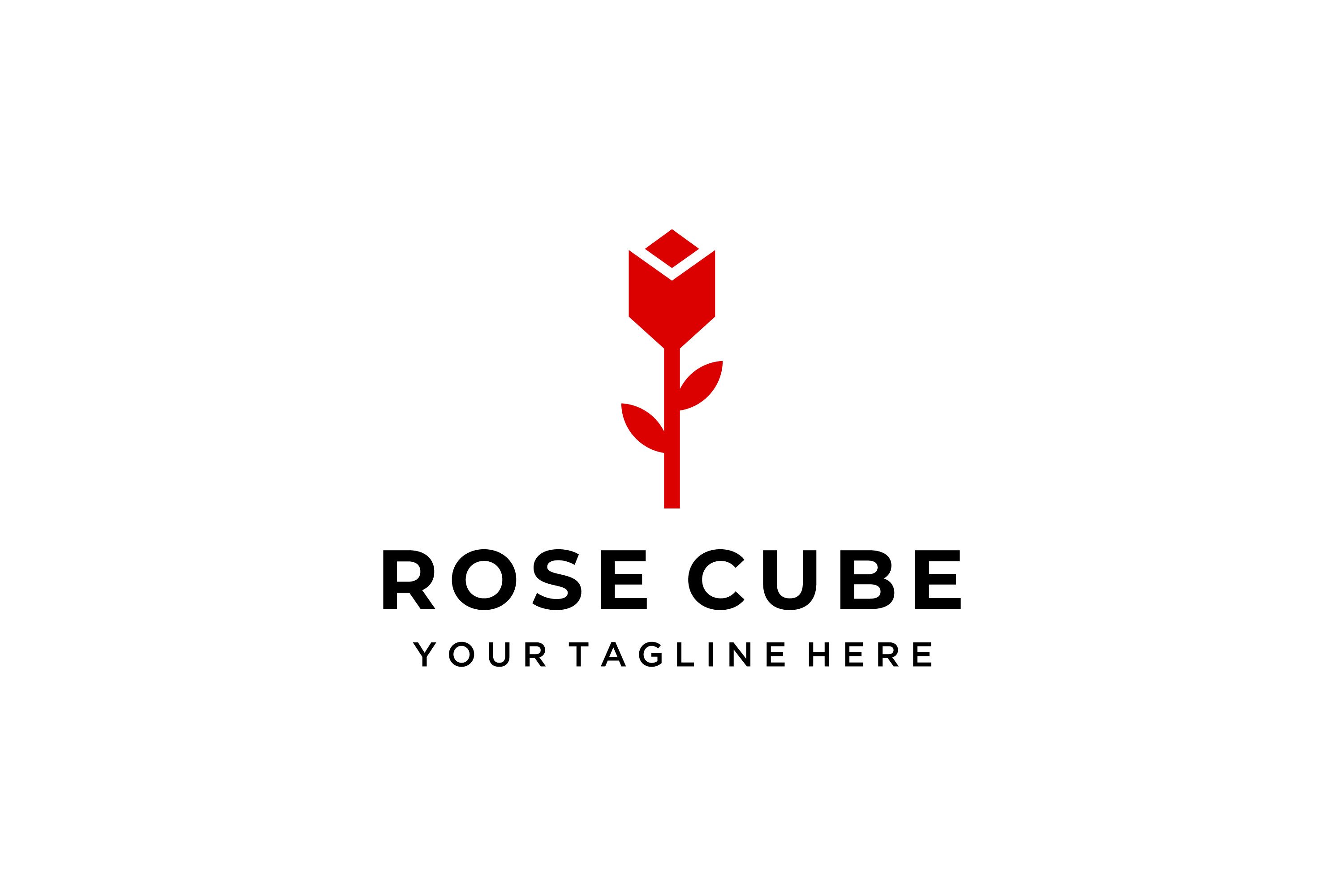 Beauty Rose with cube geometric logo cover image.