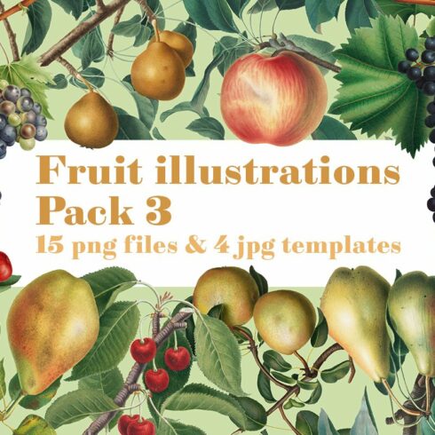 Fruit Illustrations pack 3 cover image.