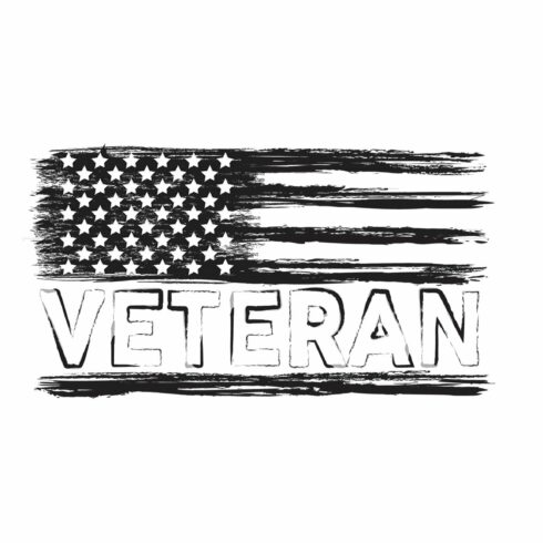Veteran USA Flag cover image.