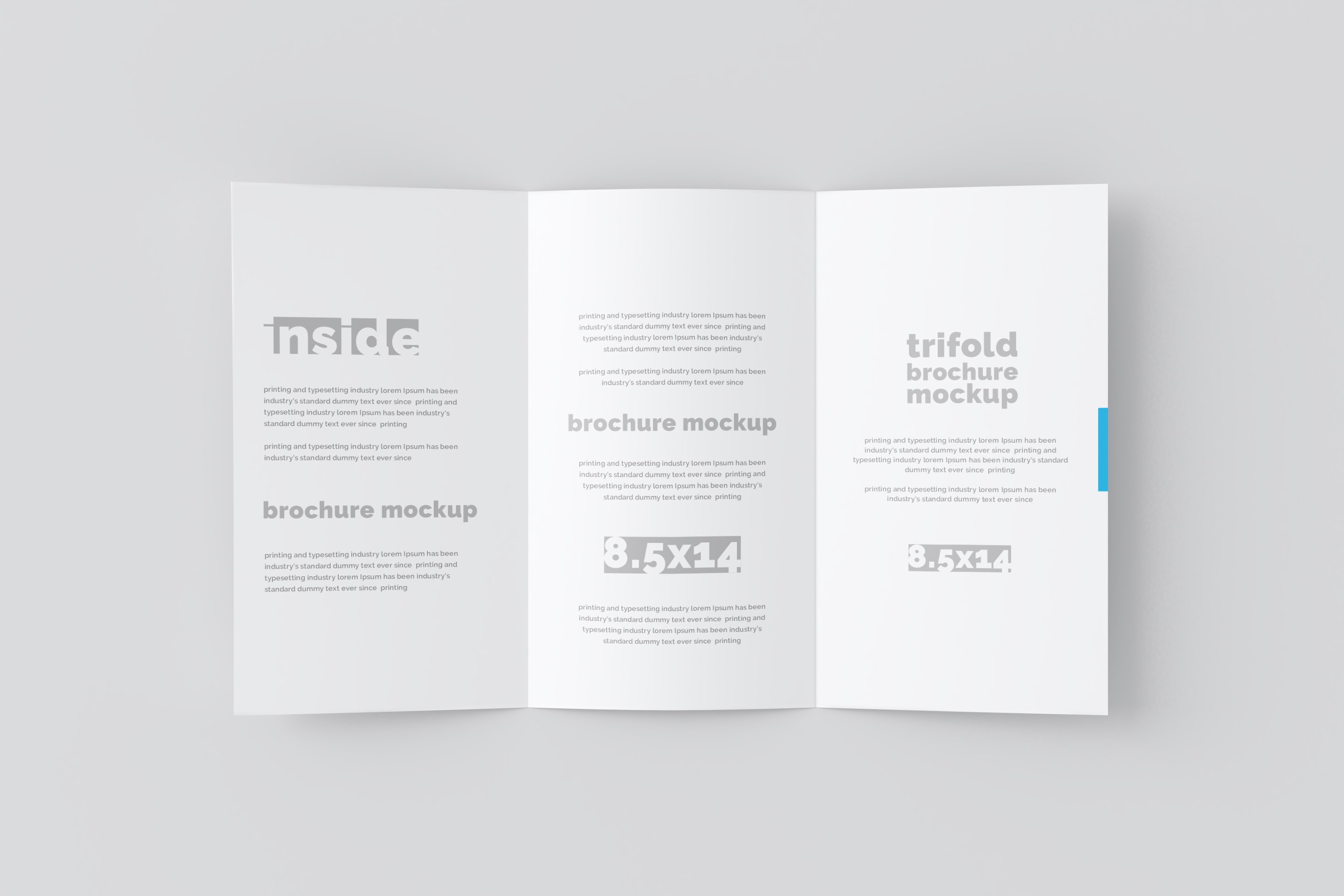 03 14x8.5 trifold brochure mockup 116