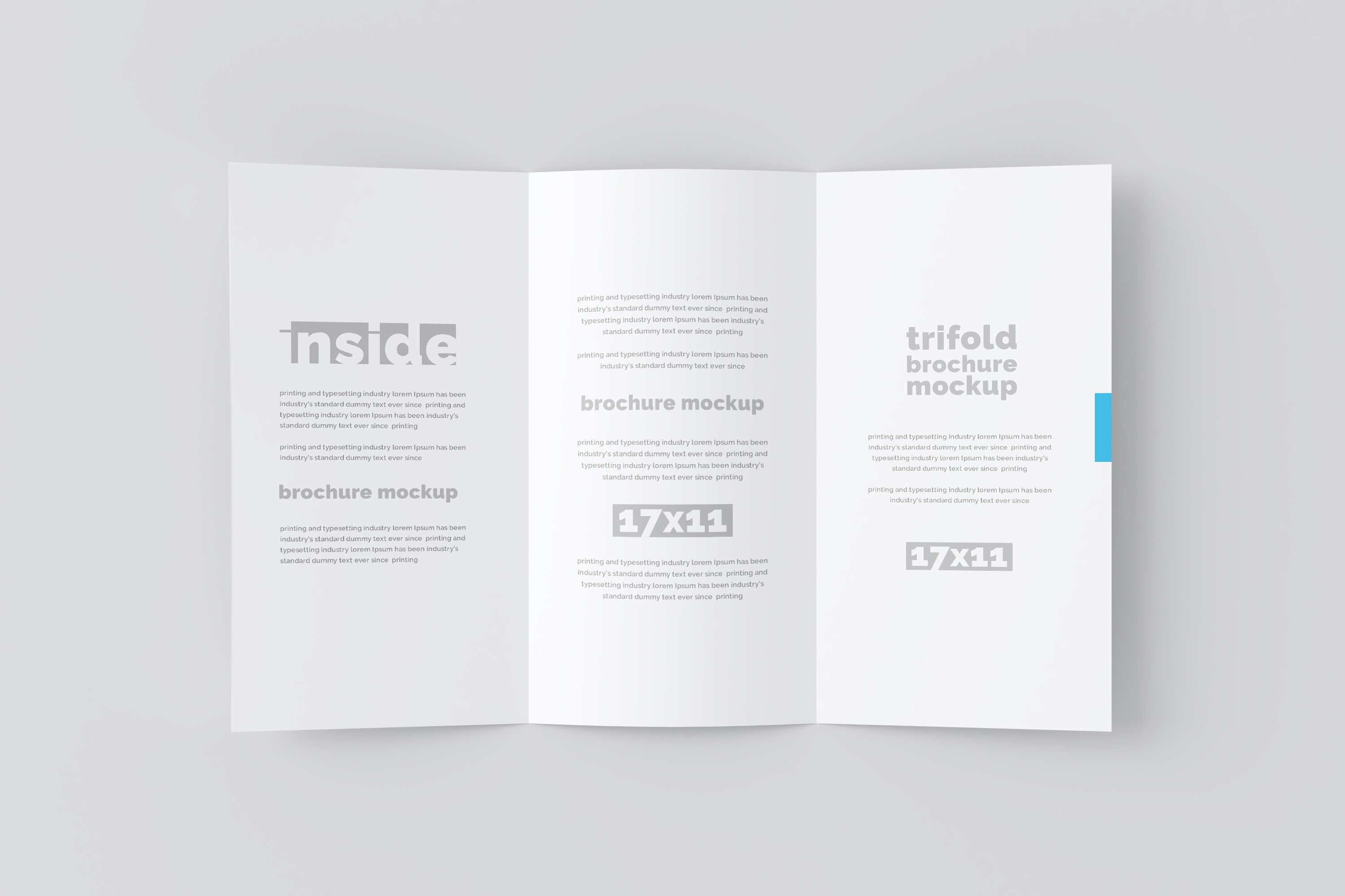 03 17x11 trifold brochure mockup 818