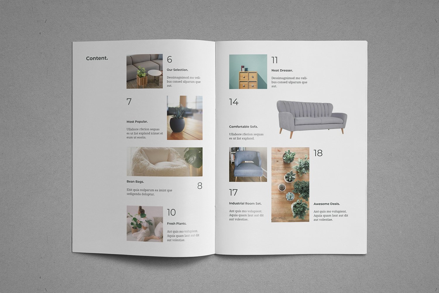 03 product catalog brochure 439