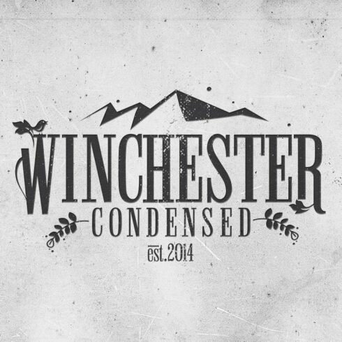 Winchester Condensed Font cover image.