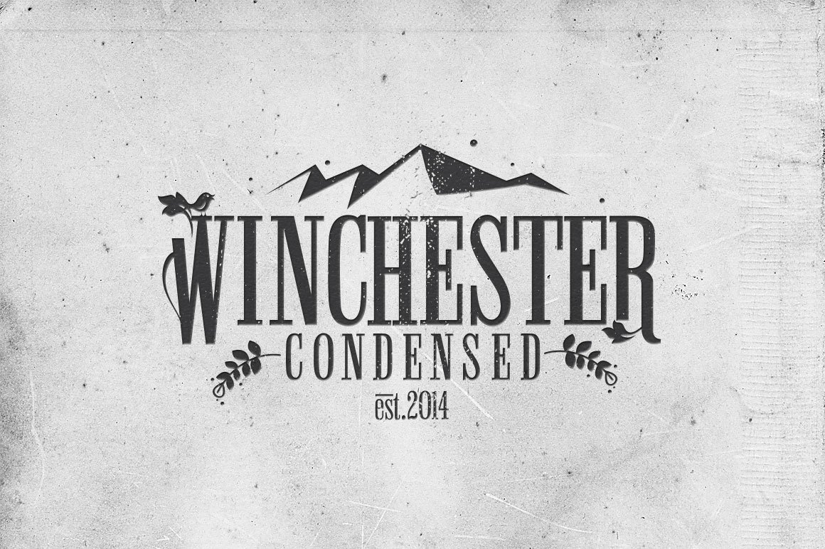 Winchester Condensed Font cover image.