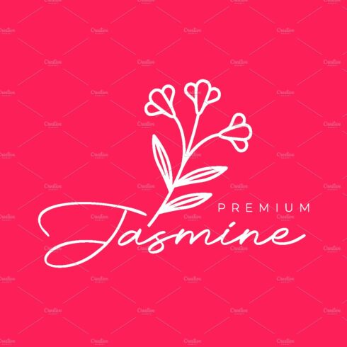 feminine beauty flowers jasmine logo cover image.