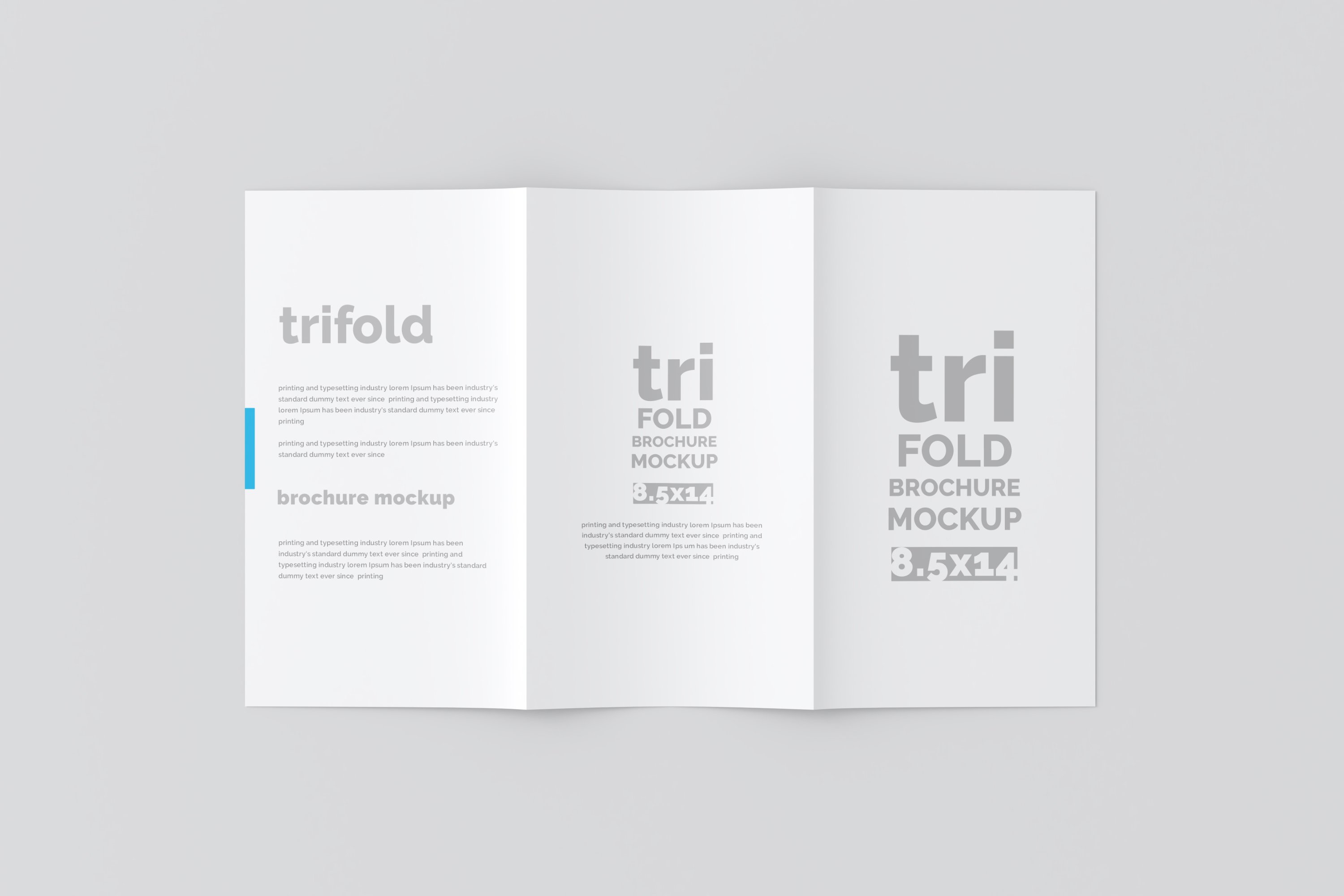 04 14x8.5 trifold brochure mockup 339