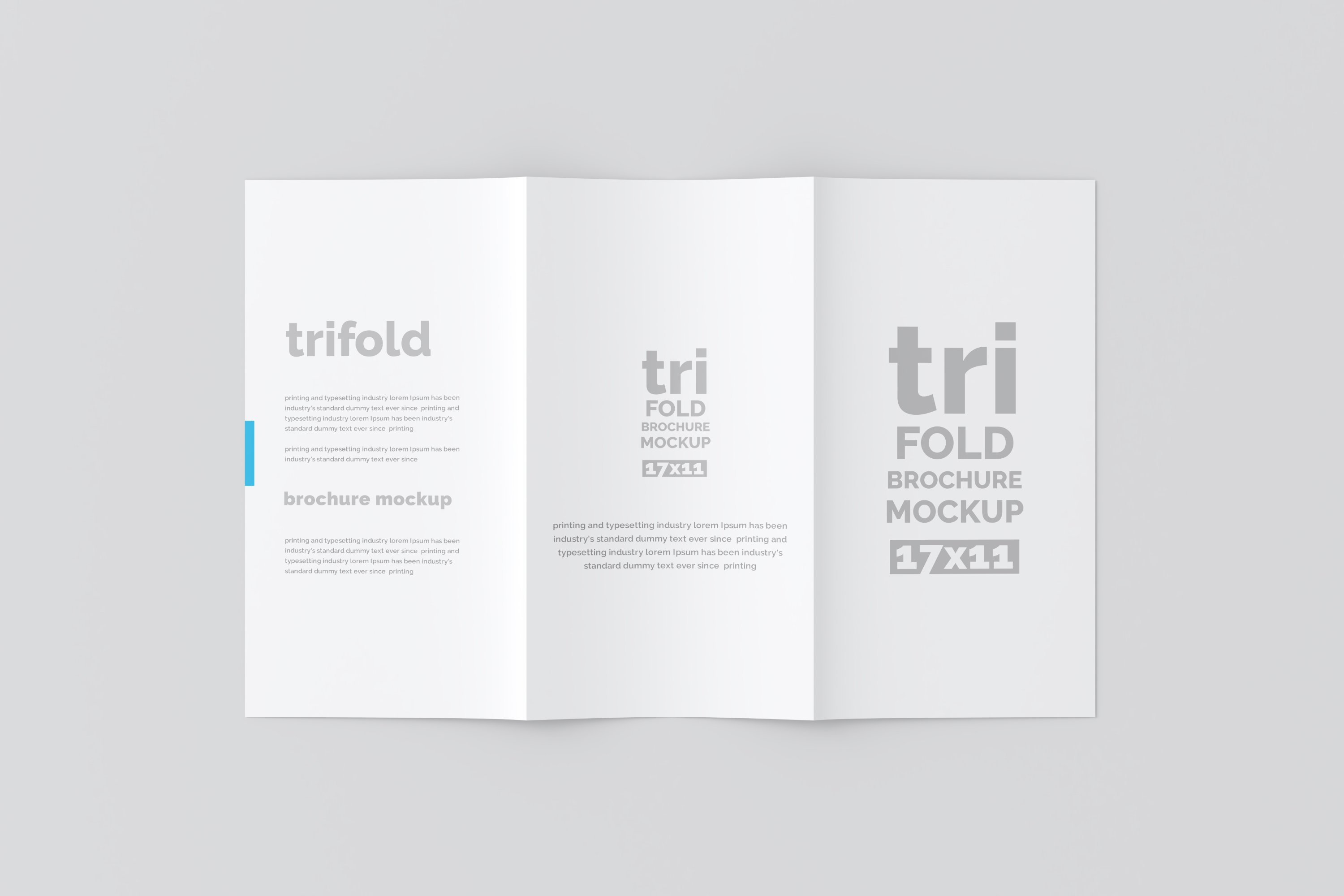 04 17x11 trifold brochure mockup 917