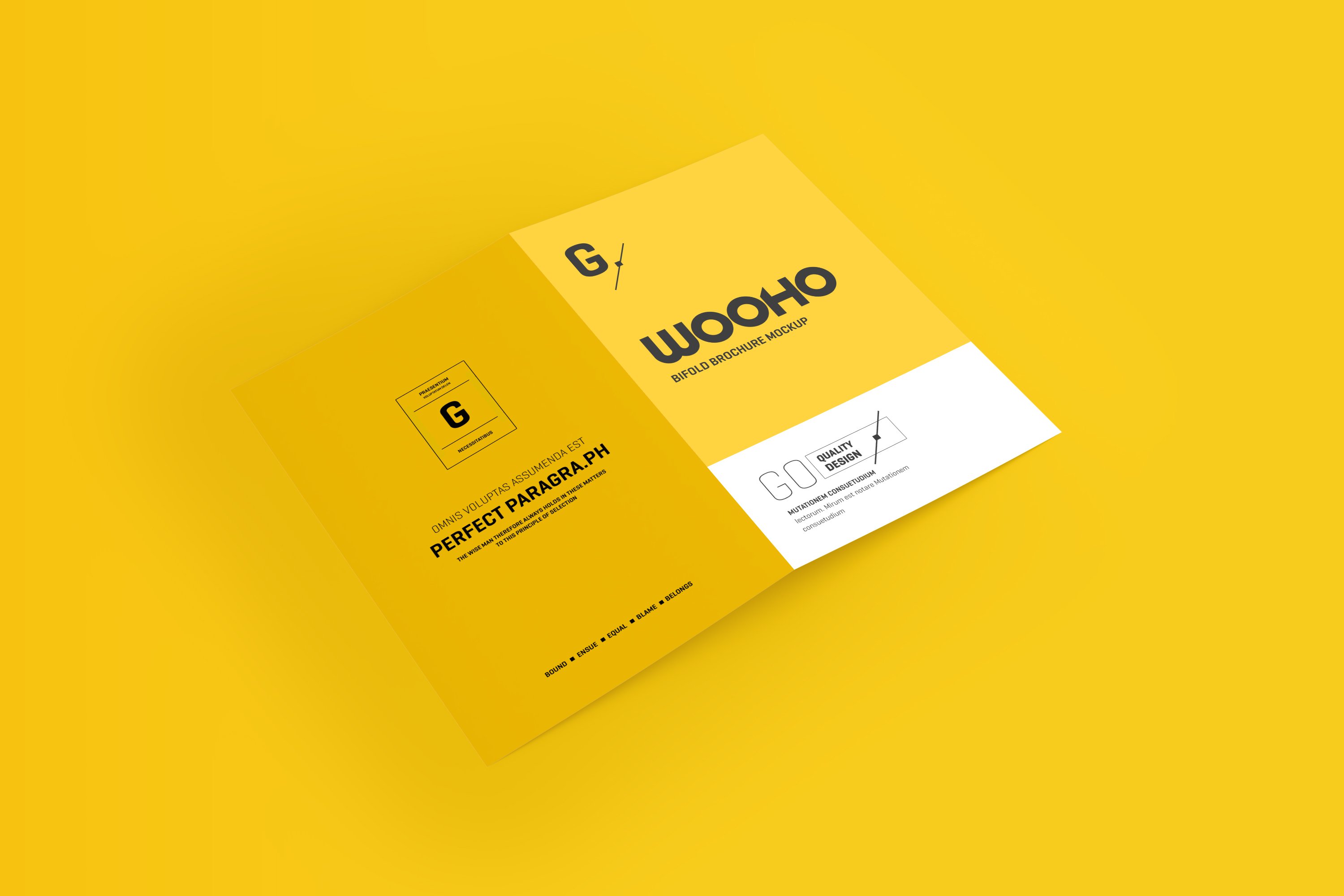 04 us letter bifold brochure mockup 350