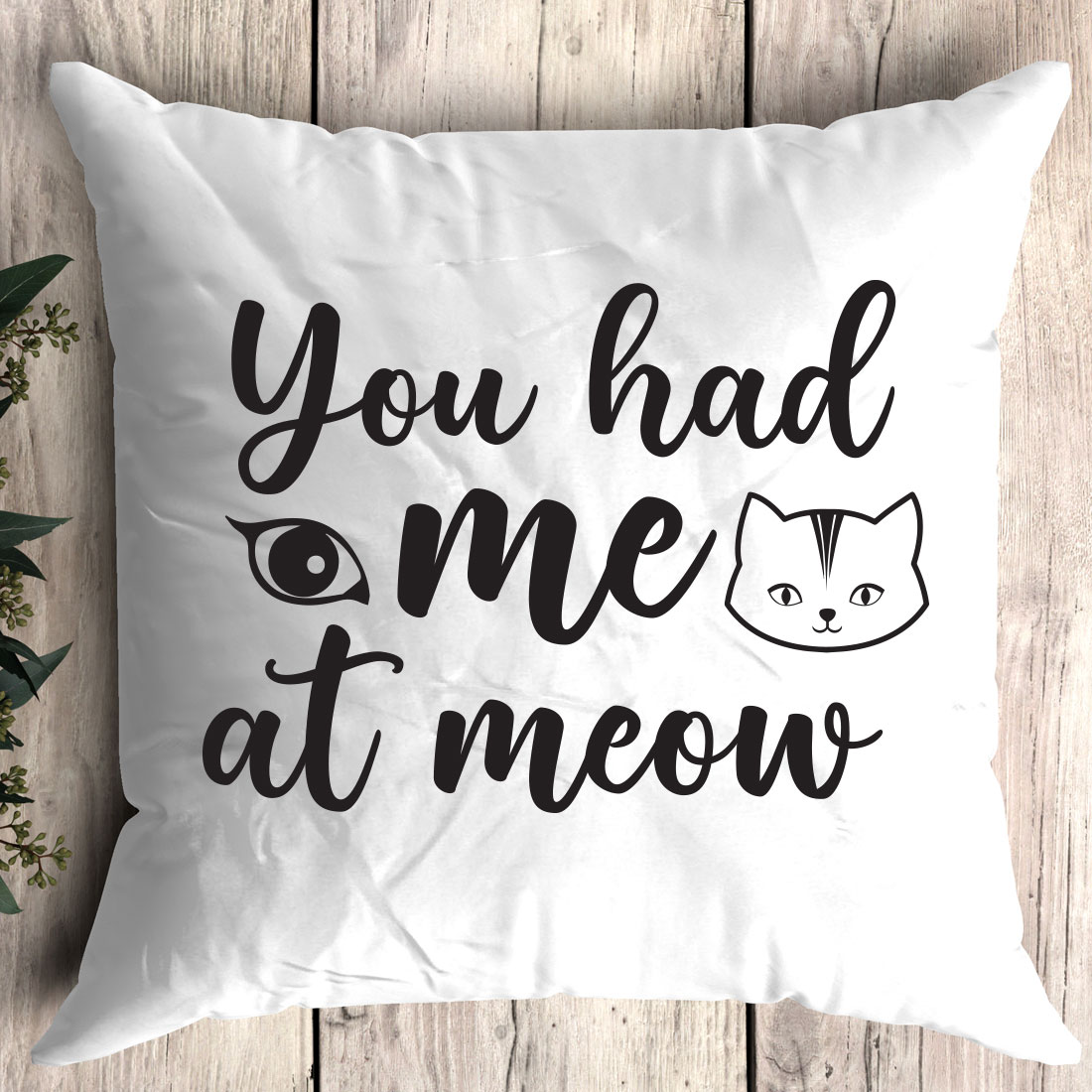 Pillow that says you had me at meow.