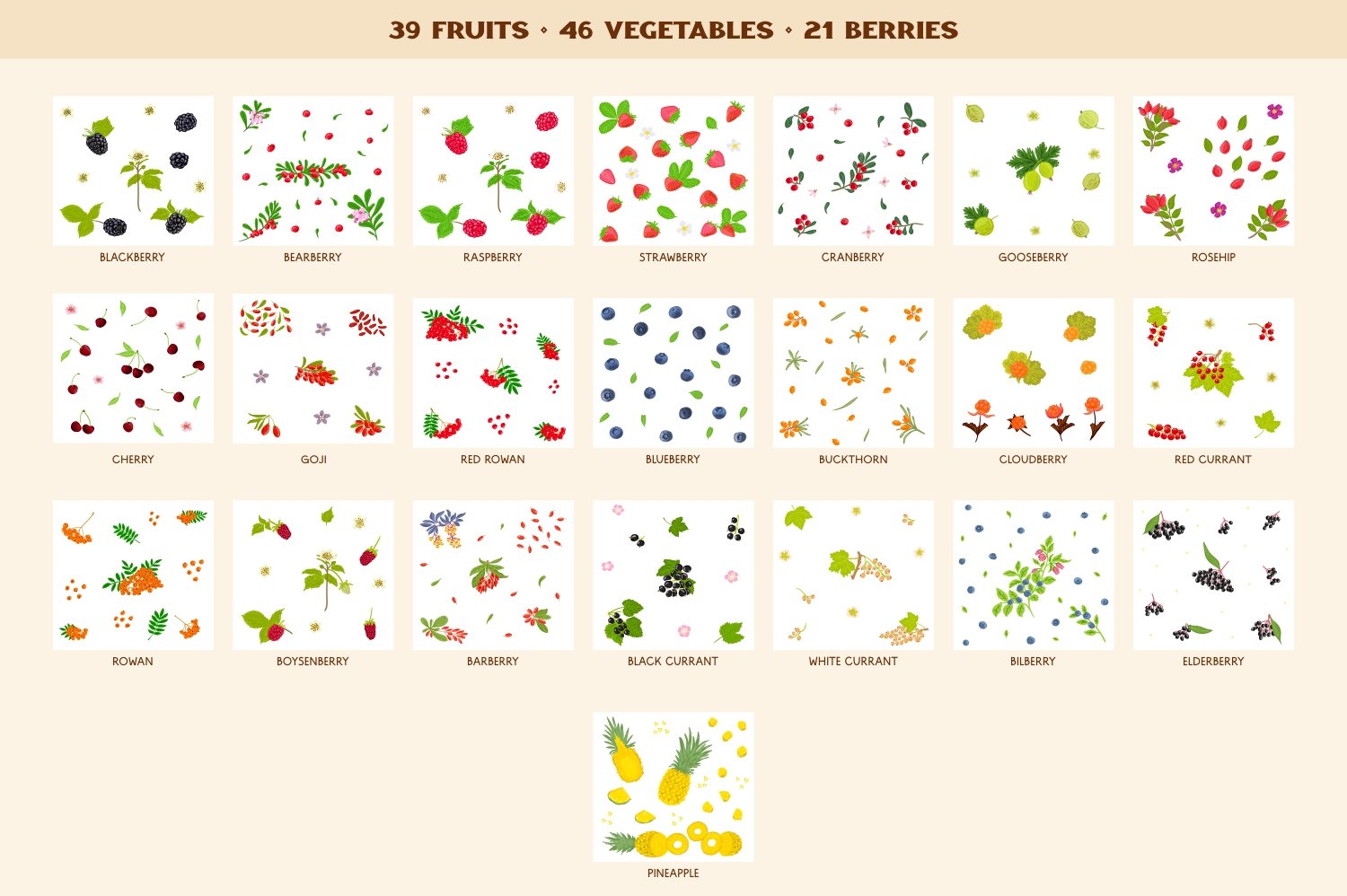 05 illustration bundle fruits vegetables berries 300